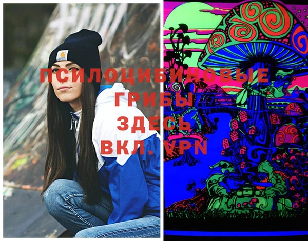 таблы Няндома