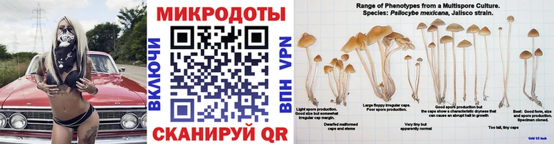 Галлюциногенные грибы Magic Shrooms  наркотики  Лесной 
